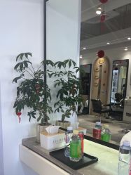 -LJOY丽锦造型·烫发染发