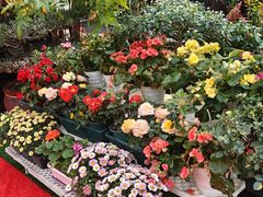 -山水茶艺馆·点心粤菜·30年老字号