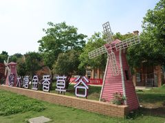 -大塘金香草谷