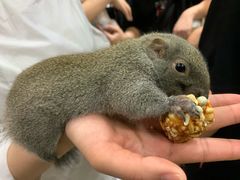 -藦茜花园宠物主题亲子互动体验馆(国顺东路店)