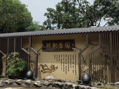 -梧桐庄园