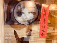 -白兔子密室(长寿路店)