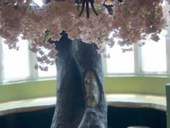 -猫猫幼稚园·撸猫·桌游·电玩