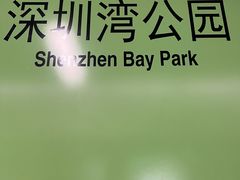 -深圳湾公园(南山区)