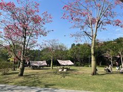 -云溪植物园