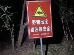-紫金山山顶公园