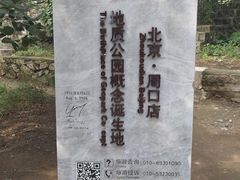 -北京周口店北京人遗址博物馆