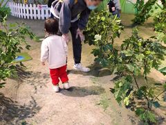 -中国杭州低碳科技馆