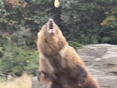 -杭州野生动物世界