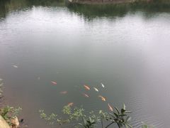 -永泰中国云顶