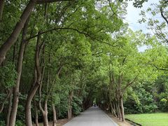 -同里国家湿地公园