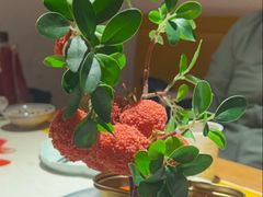 妃子笑-长安大牌档之上元灯会(南大街店)