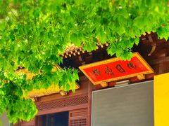 -亭林园-华藏寺