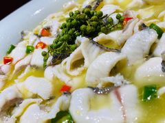 青花椒一代（小分）-青花椒花椒鱼(合生汇店)