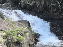 -广州市流溪河国家森林公园