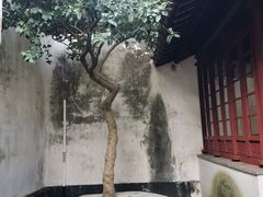 -黎里柳亚子纪念馆