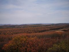 -塞罕坝国家级自然保护区