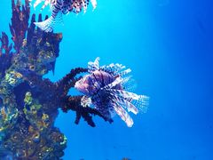 -海合安武汉极地海洋公园