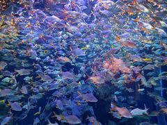 -成都浩海立方海洋公园