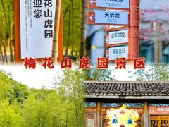 -龙岩梅花山虎园