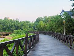 -大亚湾红树林城市湿地公园