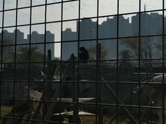 -南昌动物园