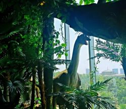 -恐龙探索乐园(磁器口店)