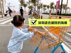 -玫瑰海岸文化旅游度假区