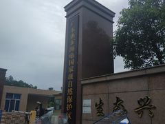 -广东惠东海龟国家级自然保护区