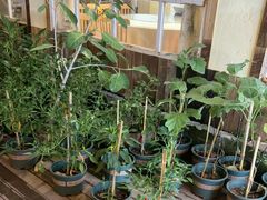 -宅里香.自然餐厅(湘大店)