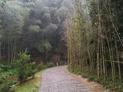 -常德桃花源景区
