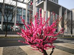 -无锡市市民中心