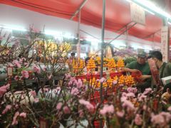 -越秀西湖花市(广州城市广场花卉店)