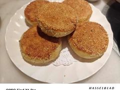 -孙记驴肉山庄(李桥店)