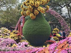 -杭州植物园
