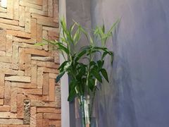 -bluefrog蓝蛙(皇庭广场店)