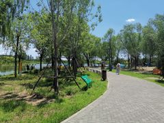 -东郊湿地公园