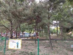 -大望京儿童游乐场