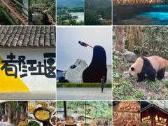 -青城甲(青城山店)