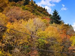 -叠溪松坪沟景区