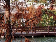 -厦门园林博览苑