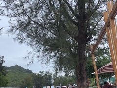 -西涌国际滨海旅游区