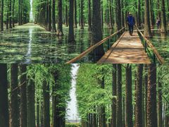 -渌洋湖湿地公园