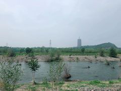 -永定河休闲森林公园