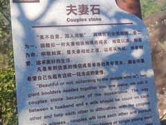 -海南霸王岭国家森林公园