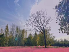 -汉长安城未央宫国家考古遗址公园