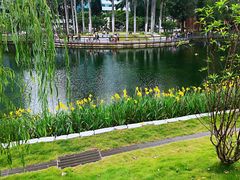 -四海公园(南山区)