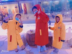 -芜湖新华联大白鲸海洋公园