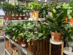 -宜家家居(哈尔滨商场店)
