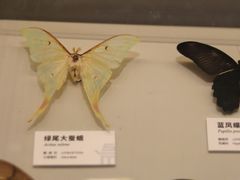 -四川大学博物馆
